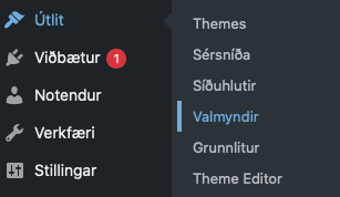 Uppfæra valmynd - menu í wordpress
